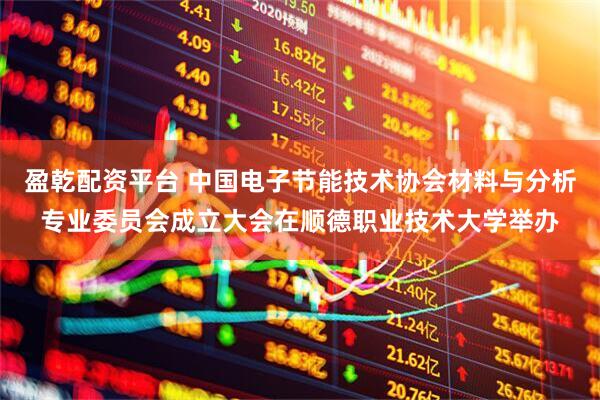 盈乾配资平台 中国电子节能技术协会材料与分析专业委员会成立大会在顺德职业技术大学举办