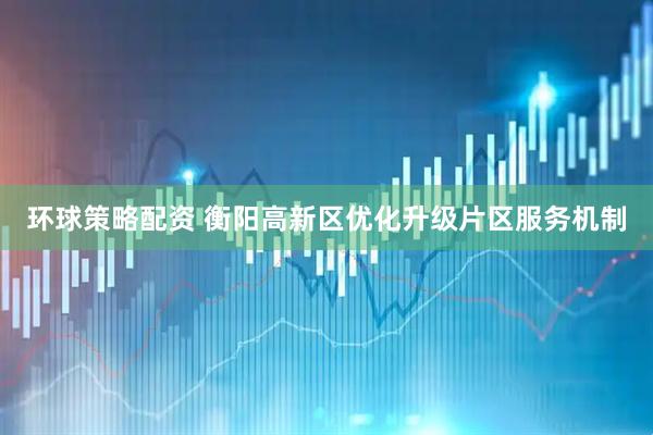 环球策略配资 衡阳高新区优化升级片区服务机制