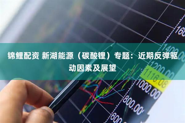 锦鲤配资 新湖能源（碳酸锂）专题：近期反弹驱动因素及展望