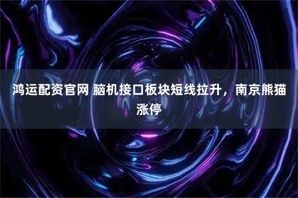 鸿运配资官网 脑机接口板块短线拉升，南京熊猫涨停