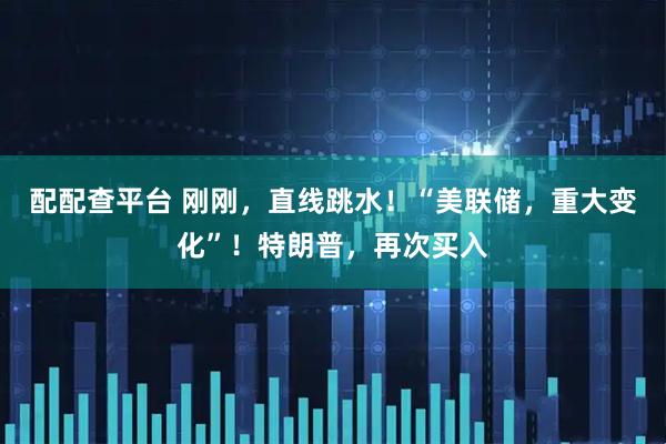 配配查平台 刚刚，直线跳水！“美联储，重大变化”！特朗普，再次买入